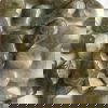 Prasiolite 8559