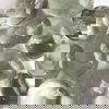 Prasiolite Tumbled