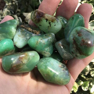 Chrysoprase CHP9688