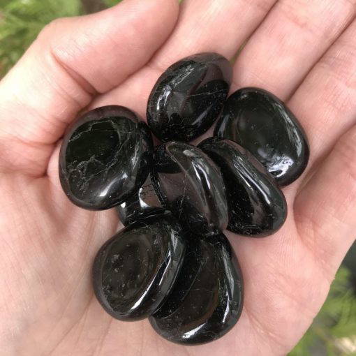 Black Tourmaline 9878