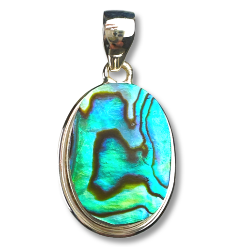Abalone ABL-20416