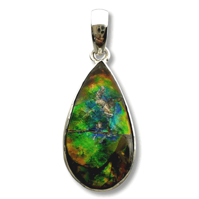 Ammolite AMM-20405