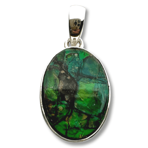 Ammolite AMM-20407