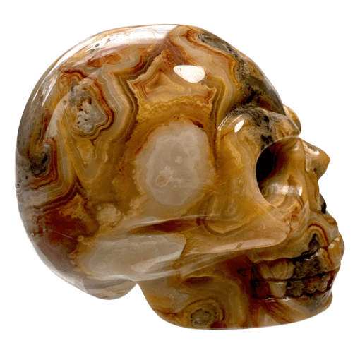 Crazy Lace Agate Skull 90.5g - Image 3
