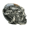 Fossil Skull 101.3g - Image 2