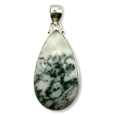 Tree Agate AGT-20645