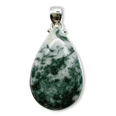 Tree Agate AGT-20646