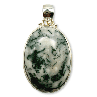 Tree Agate AGT-20647