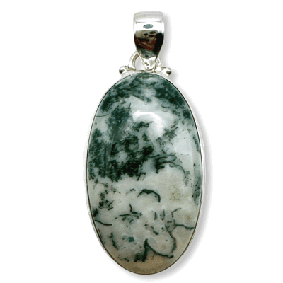 Tree Agate AGT-20648