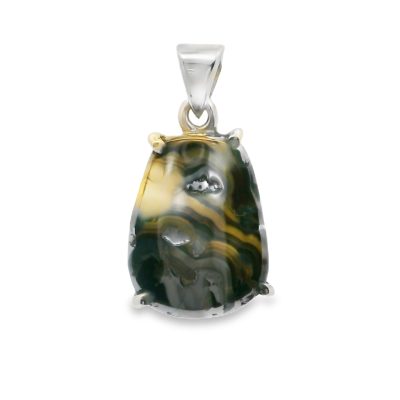 Schalenblende Claw Set Pendant 5.9g