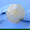 Solar Quartz Claw Set Ring Size S - Image 2
