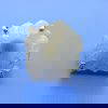 Solar Quartz Claw Set Ring Size O - Image 2